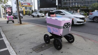 Stop Robbing The Little Delivery Robots
