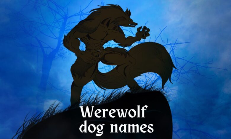 113 Werewolf Names for Dogs Sure to Make You Howl