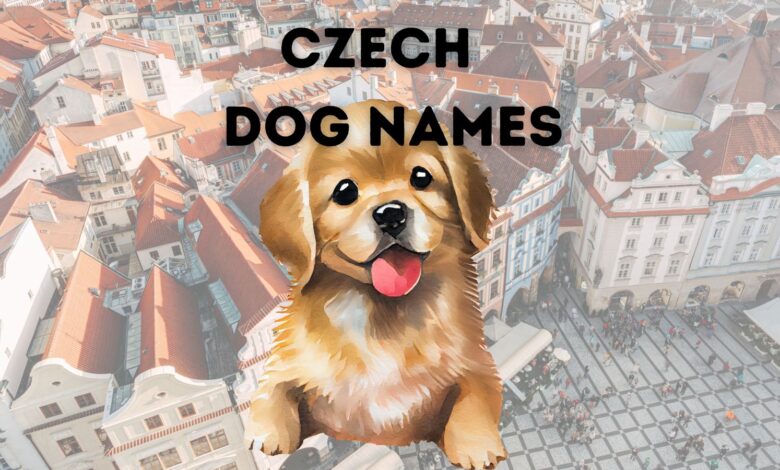 Czech dog names -- graphic of puppy with backdrop of Prague