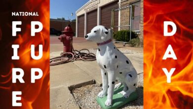 image of Dalmatian statue in front of fire station for National Fire Pup Day