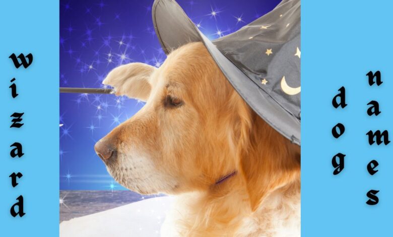 Wizard Names for dogs -- image of dog holding wand and wearing wizard hat