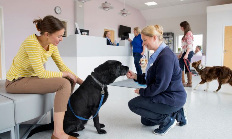 Preparing For Your First Veterinary Visit With A New Puppy Or Rescue Dog