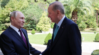 Russian and Turkish Leaders Meet Amid Push to Revive Grain Deal