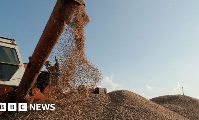 Ukraine sues EU neighbours over food imports ban