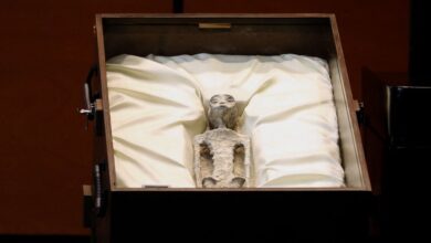 Ufologist Claims to Show Mummified Alien Specimens to Mexico's Congress