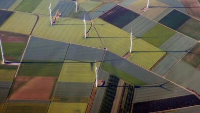 ‘Without renewables, there can be no future’: 5 ways to power the transition to renewable energy