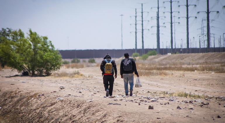 US-Mexico border, ‘world’s deadliest’ overland migration route: IOM