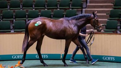 Sioux Nation Filly Turns Heads at Goffs Orby Book 2