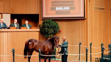 Book 3 Closer Bolstered by $900,000 Constitution Colt