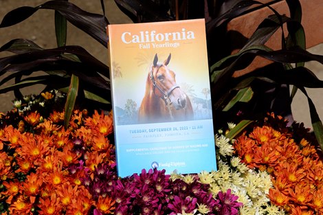 Cal-bred Yearlings, HORA on Offer at F-T Fall Sale