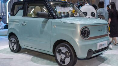 Indonesia asks Geely to help it research and build a homegrown EV by 2026, marketed as a local brand