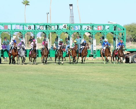Turf Paradise to Cease Operations Oct. 1; OTBs to Close