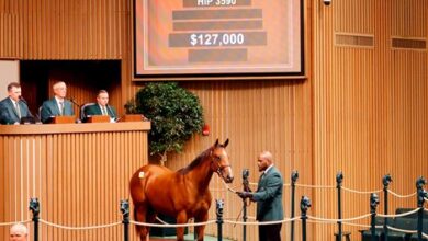 $127,000 Bolt d'Oro Filly Tops Keeneland's Session 10