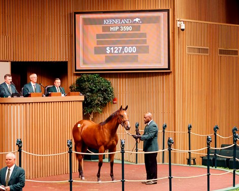 $127,000 Bolt d'Oro Filly Tops Keeneland's Session 10