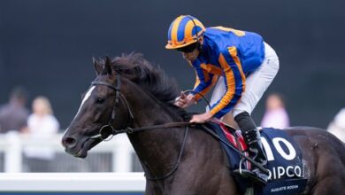 Breeders' Cup Turf Next on Agenda for Auguste Rodin