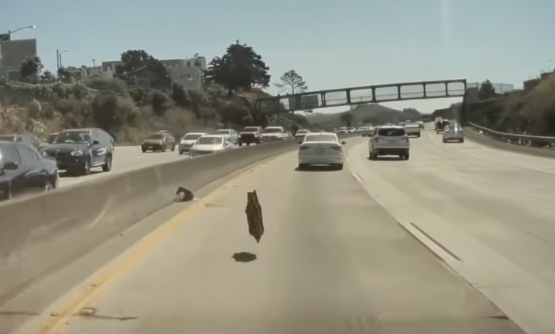 Watch A Tesla Cybertruck's Wheel Cover Fall Off And Go Airborne On The Highway