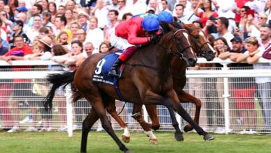 Big Rock Looks for Group 1 in All-French Prix du Moulin