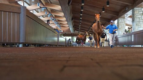 Nonstop Action Headlines Day 2 of Keeneland September - Video -