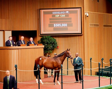Gainesway Gets Keeneland Book 3 Off the Blocks