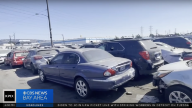 Over 10,000 Cars Have Been Stolen In Oakland So Far This Year