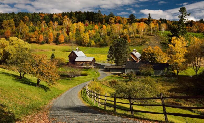 Vermont Town Closes Farm Roads For Fall Due To Influencers