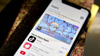 Apple app-store ruling challenged at Supreme Court by Epic Games