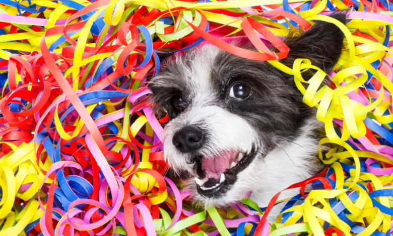 Celebrate Your Pup Year-Round With These Dog-Themed Holidays!
