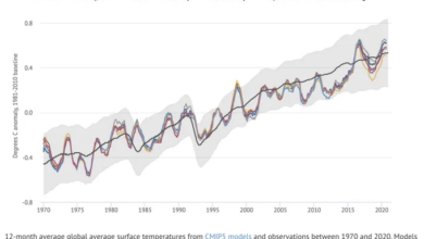 Do CMIP5 models skillfully match actual warming?