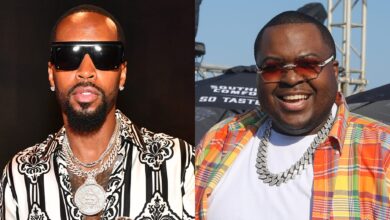 Safaree Thanks Sean Kingston For Support During Past Low Point