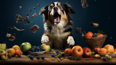 The 10 Healthiest Fruits & Veggies That Dogs LOVE