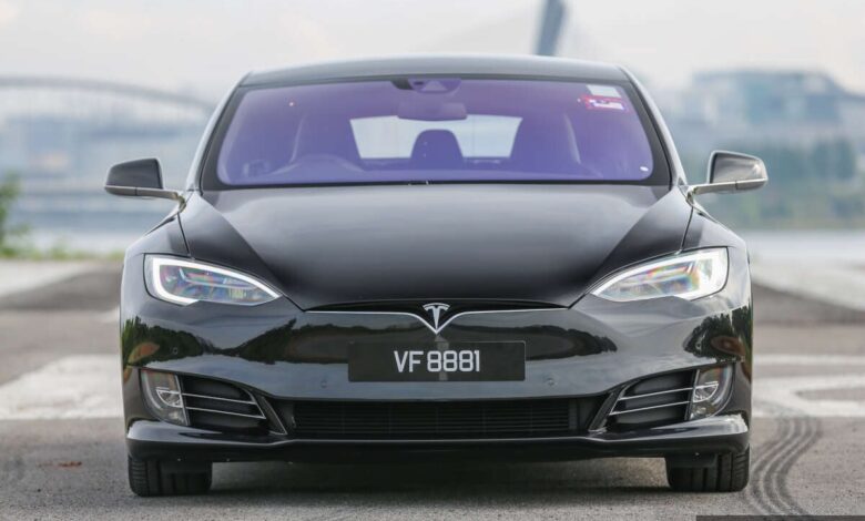 How many grey import Teslas are there in Malaysia?