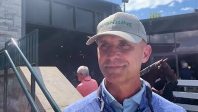 Finley Eager to See How Hip 521, a June Foal, Develops - Video -