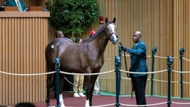 Rutherford Purchases Volatile Filly for $1.15 Million