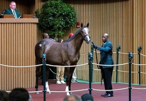 Rutherford Purchases Volatile Filly for $1.15 Million