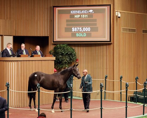 $875K Authentic Colt Tops Day 5 of Keeneland September