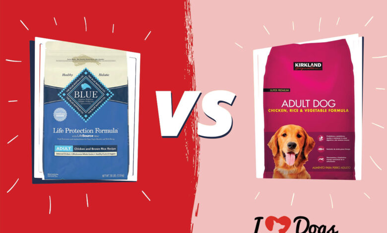 Blue Buffalo vs Kirkland Dog Food: Which Is Better?