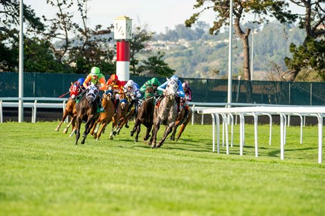 New Law Starts Shaping Calif. Racing Post-Golden Gate