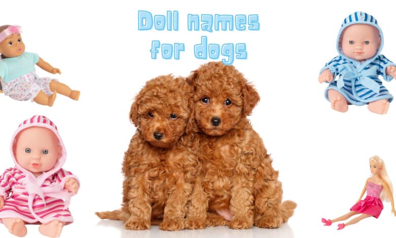 doll names for dogs composite image with two doodle puppies surrounded by images of dolls