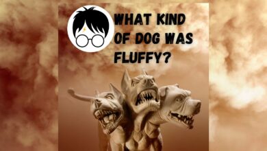 What Kind of Dog is Fluffy from Harry Potter?