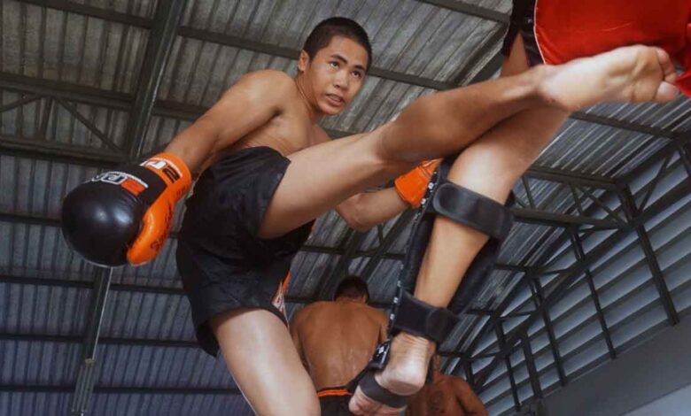 Gloves and glory, tracing the lines between MMA, Muay Thai and Boxing