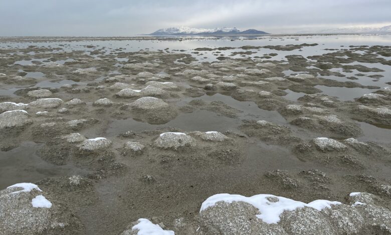 Great Salt Lake climate change : NPR