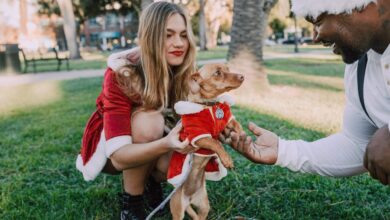 14 Best Matching Dog and Owner Outfits