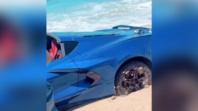 Corvette Stingray gets beached in embarrassing blunder