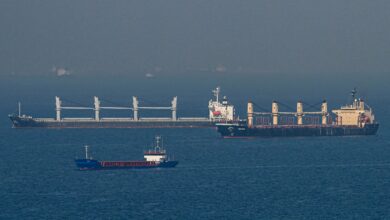 Five new cargo vessels heading for Ukrainian Black Sea ports: MarineTraffic