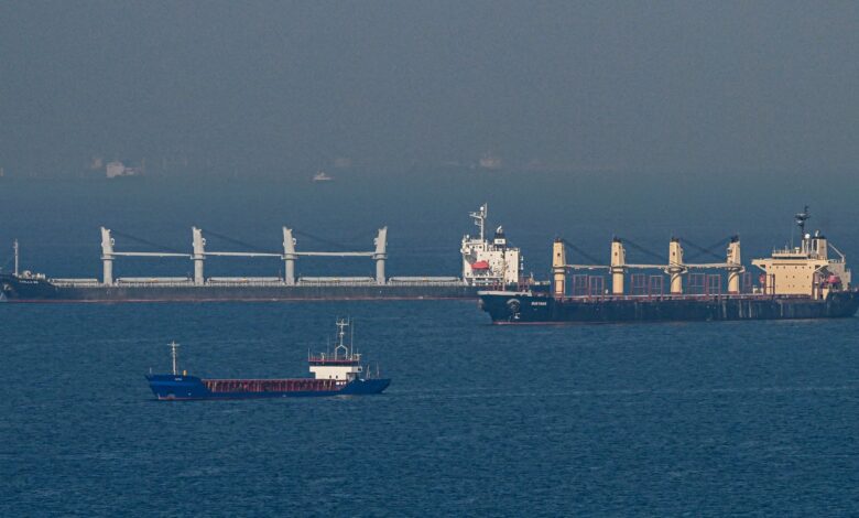 Five new cargo vessels heading for Ukrainian Black Sea ports: MarineTraffic