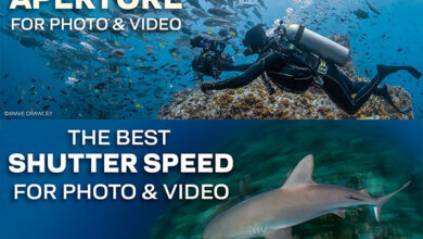 The Pros Discuss the “Best” Aperture and Shutter Speed for Underwater Imaging