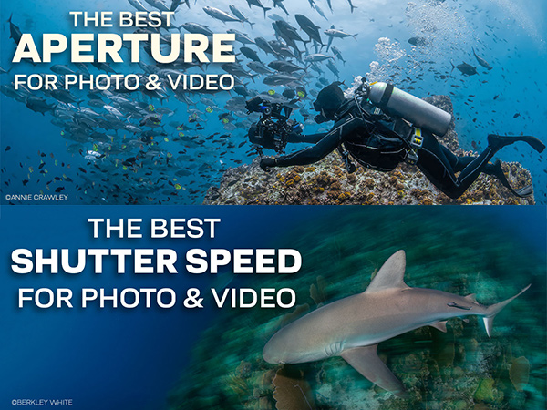 The Pros Discuss the “Best” Aperture and Shutter Speed for Underwater Imaging