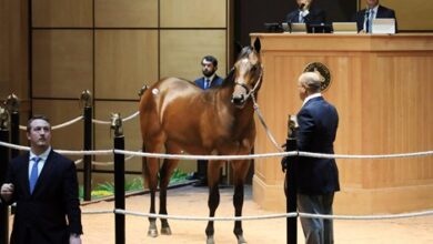 Pair of $500,000 Colts Top Day 2 at Fasig-Tipton Sale