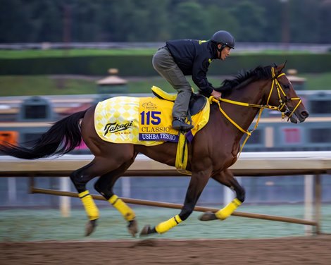 Large International Cast Assembles for Breeders' Cup
