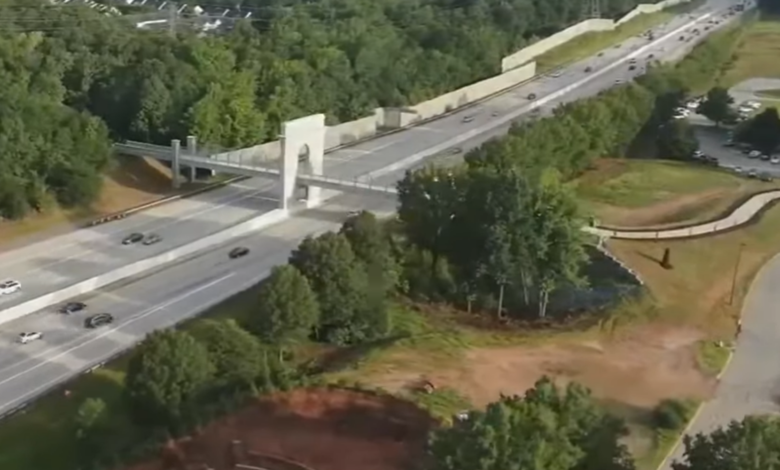 Internet Artist Labels South Carolina Bridge "Harambe Memorial"